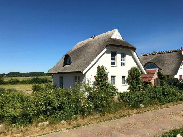 Weiss verputztes Wohnhaus mit Reetdach in freier Landschaft